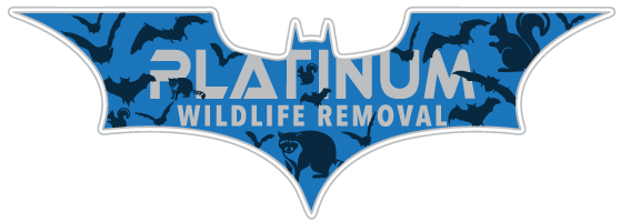 Assured Wildlife Removal