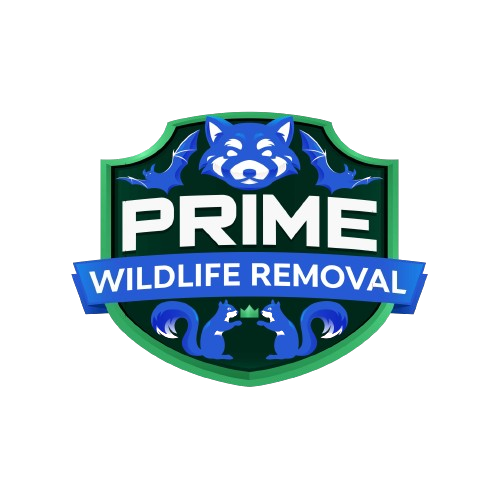 Assured Wildlife Removal